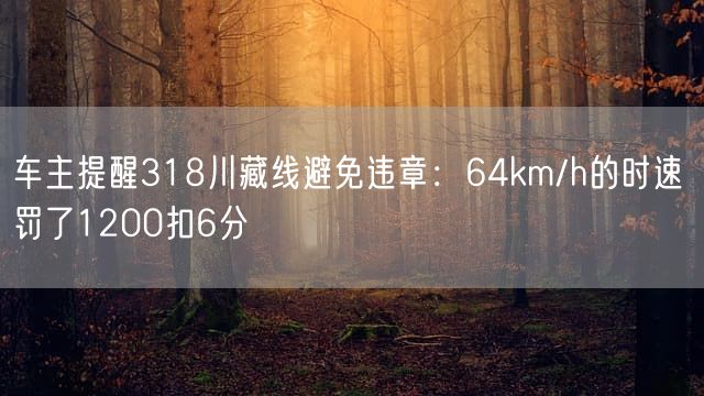 车主提醒318川藏线避免违章：64km/h的时速 罚了1200扣6分