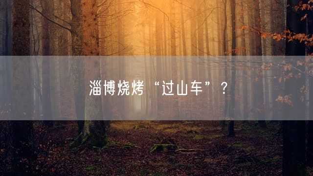 淄博烧烤“过山车”？