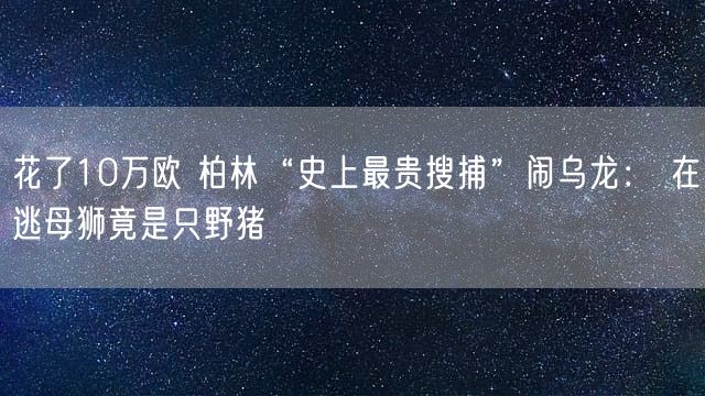 花了10万欧 柏林“史上最贵搜捕”闹乌龙： 在逃母狮竟是只野猪