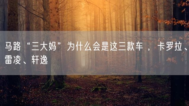 马路“三大妈”为什么会是这三款车 ，卡罗拉、雷凌、轩逸