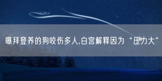 曝拜登养的狗咬伤多人,白宫解释因为“压力大”