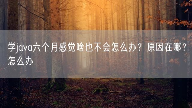 学java六个月感觉啥也不会怎么办？原因在哪？怎么办