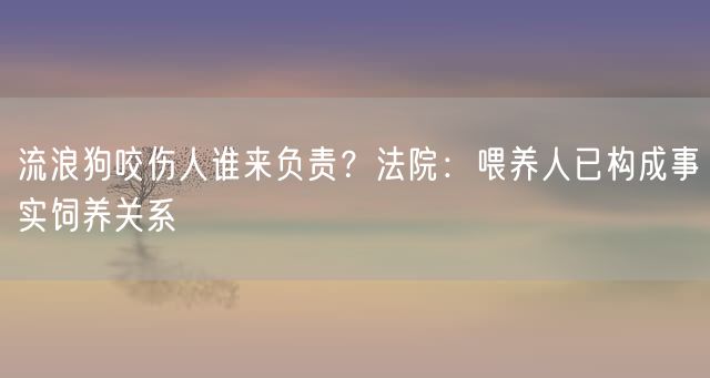 流浪狗咬伤人谁来负责？法院：喂养人已构成事实饲养关系