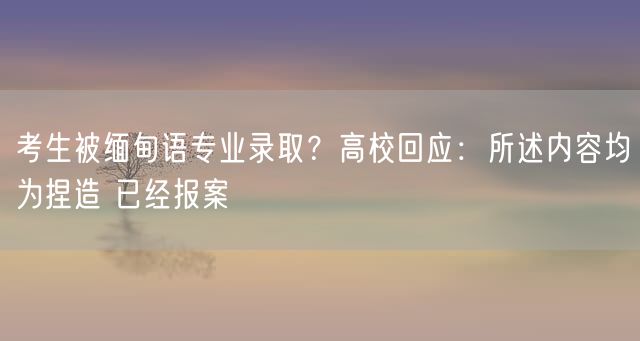 考生被缅甸语专业录取？高校回应：所述内容均为捏造 已经报案