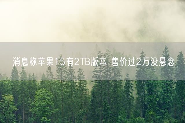 消息称苹果15有2TB版本 售价过2万没悬念