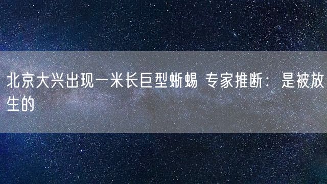 北京大兴出现一米长巨型蜥蜴 专家推断：是被放生的