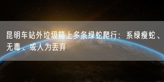 昆明车站外垃圾箱上多条绿蛇爬行：系绿瘦蛇、无毒、或人为丢弃