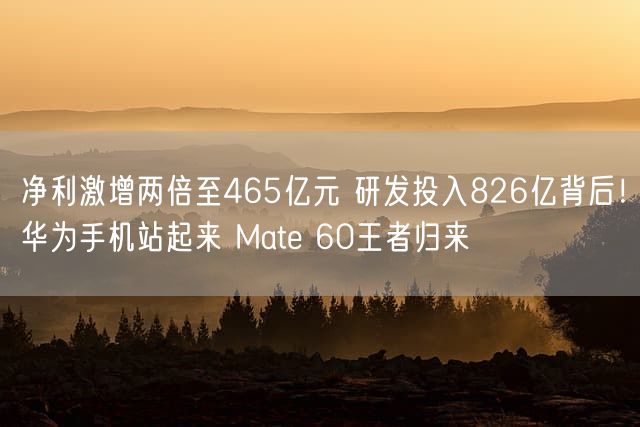 净利激增两倍至465亿元 研发投入826亿背后！华为手机站起来 Mate 60王者归来