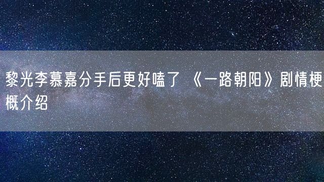 黎光李慕嘉分手后更好嗑了 《一路朝阳》剧情梗概介绍