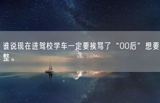 谁说现在进驾校学车一定要挨骂了“00后”想要整。