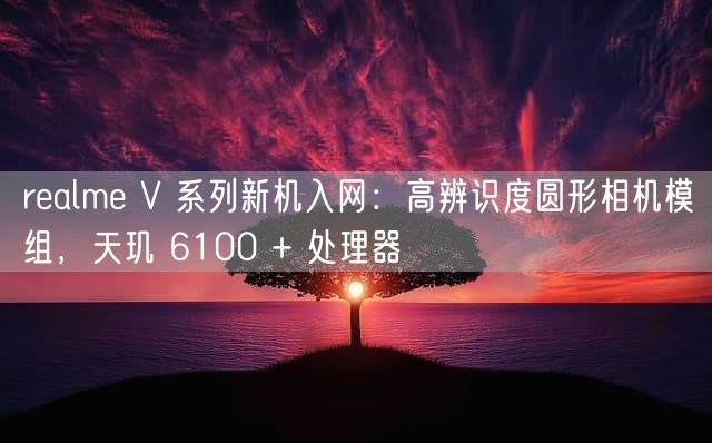 realme V 系列新机入网：高辨识度圆形相机模组，天玑 6100 + 处理器