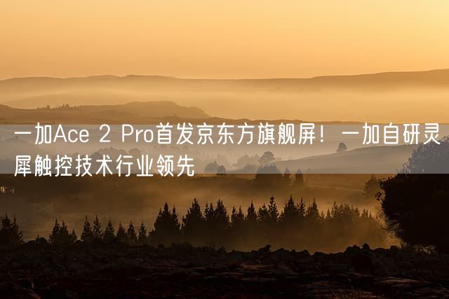 一加Ace 2 Pro首发京东方旗舰屏！一加自研灵犀触控技术行业领先