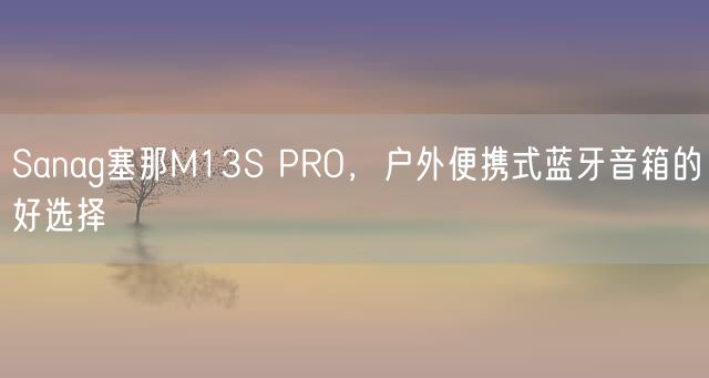 Sanag塞那M13S PRO，户外便携式蓝牙音箱的好选择