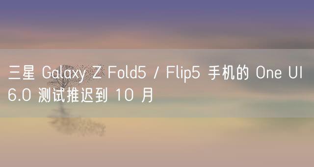 三星 Galaxy Z Fold5 / Flip5 手机的 One UI 6.0 测试推迟到 10 月