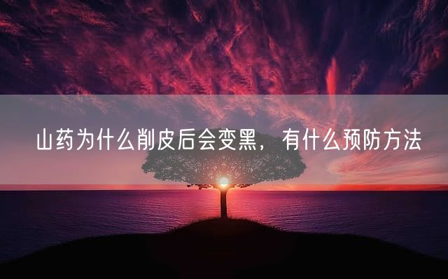 山药为什么削皮后会变黑，有什么预防方法