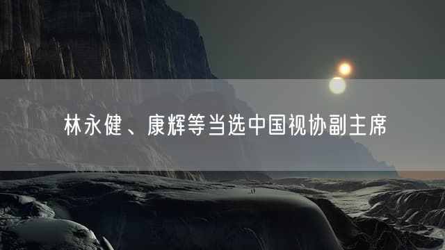 林永健、康辉等当选中国视协副主席