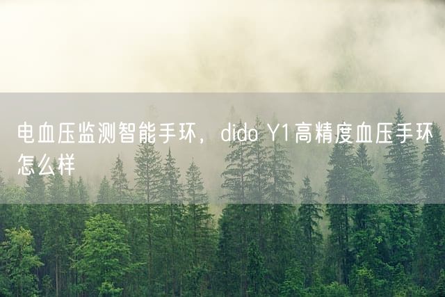 电血压监测智能手环，dido Y1高精度血压手环怎么样