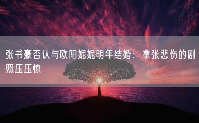 张书豪否认与欧阳妮妮明年结婚：拿张悲伤的剧照压压惊