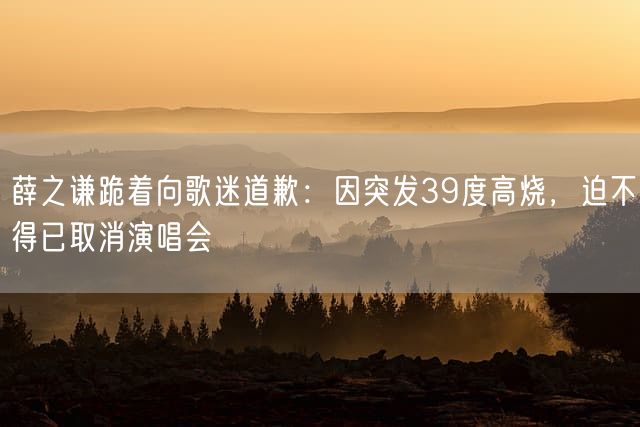 薛之谦跪着向歌迷道歉：因突发39度高烧，迫不得已取消演唱会