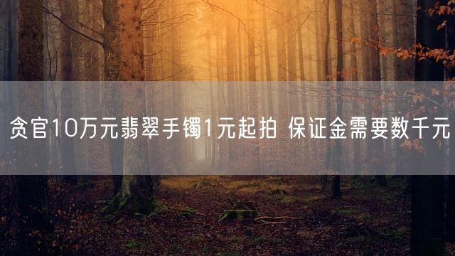 贪官10万元翡翠手镯1元起拍 保证金需要数千元