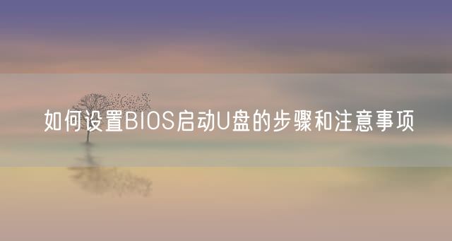 如何设置BIOS启动U盘的步骤和注意事项