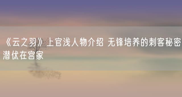 《云之羽》上官浅人物介绍 无锋培养的刺客秘密潜伏在宫家