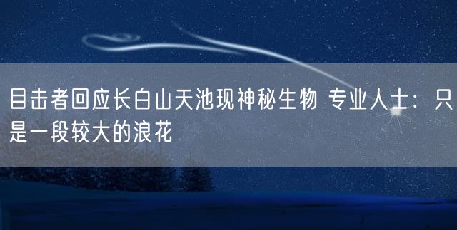 目击者回应长白山天池现神秘生物 专业人士：只是一段较大的浪花