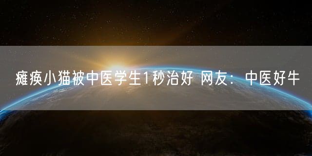 瘫痪小猫被中医学生1秒治好 网友：中医好牛