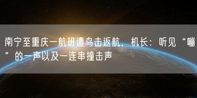 南宁至重庆一航班遭鸟击返航，机长：听见“嘣”的一声以及一连串撞击声