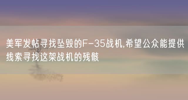 美军发帖寻找坠毁的F-35战机,希望公众能提供线索寻找这架战机的残骸