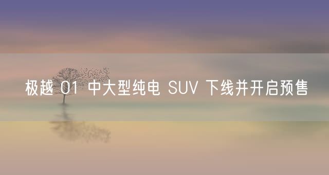 极越 01 中大型纯电 SUV 下线并开启预售