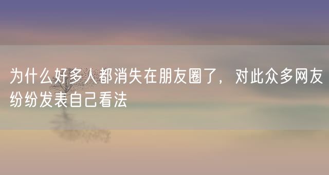 为什么好多人都消失在朋友圈了，对此众多网友纷纷发表自己看法