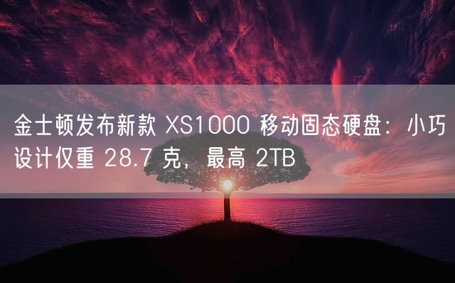 金士顿发布新款 XS1000 移动固态硬盘：小巧设计仅重 28.7 克，最高 2TB