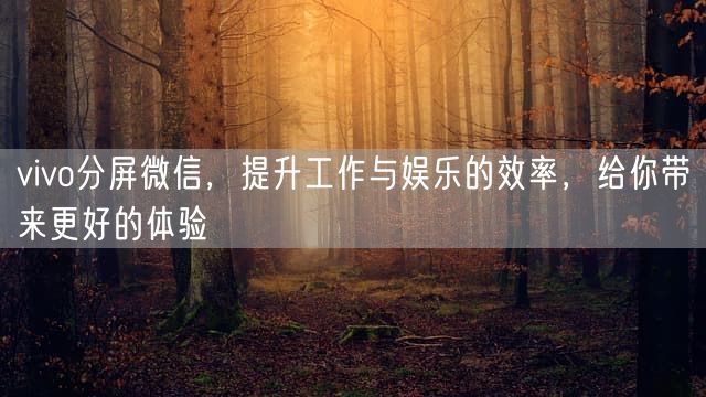 vivo分屏微信，提升工作与娱乐的效率，给你带来更好的体验