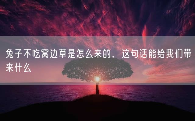 兔子不吃窝边草是怎么来的，这句话能给我们带来什么