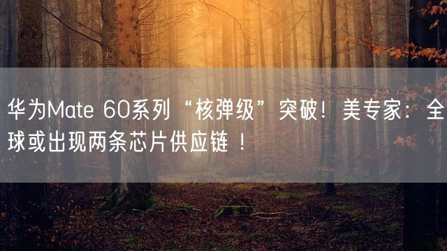 华为Mate 60系列“核弹级”突破！美专家：全球或出现两条芯片供应链 ！