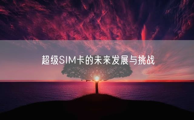 超级SIM卡的未来发展与挑战