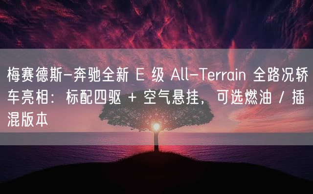 梅赛德斯-奔驰全新 E 级 All-Terrain 全路况轿车亮相：标配四驱 + 空气悬挂，可选燃油 / 插混版本