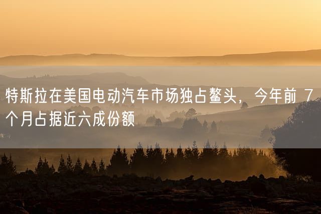 特斯拉在美国电动汽车市场独占鳌头，今年前 7 个月占据近六成份额
