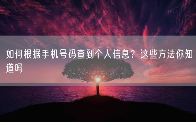 如何根据手机号码查到个人信息？这些方法你知道吗