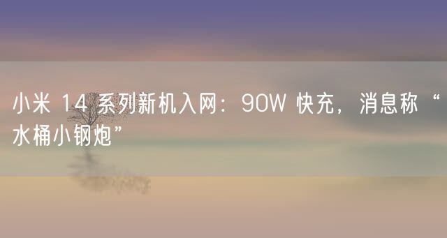 小米 14 系列新机入网：90W 快充，消息称“水桶小钢炮”