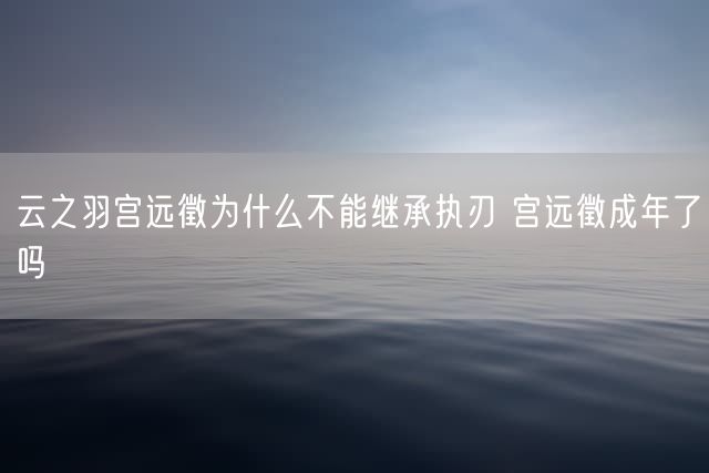 云之羽宫远徵为什么不能继承执刃 宫远徵成年了吗