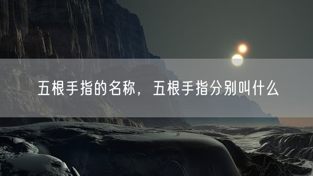 五根手指的名称，五根手指分别叫什么