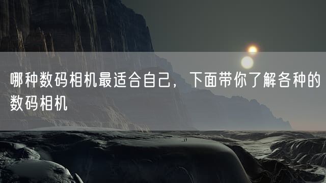 哪种数码相机最适合自己，下面带你了解各种的数码相机