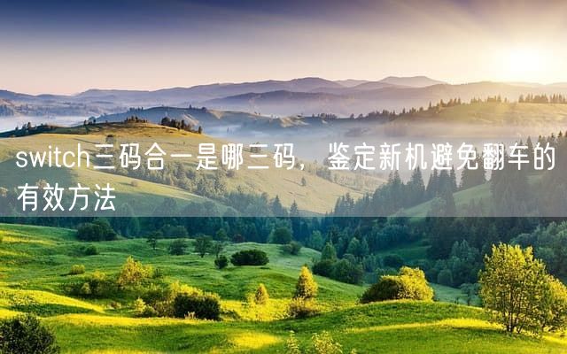 switch三码合一是哪三码，鉴定新机避免翻车的有效方法