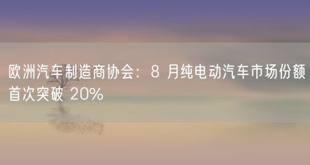 欧洲汽车制造商协会：8 月纯电动汽车市场份额首次突破 20%