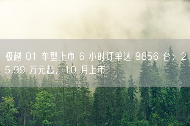 极越 01 车型上市 6 小时订单达 9856 台：25.99 万元起，10 月上市