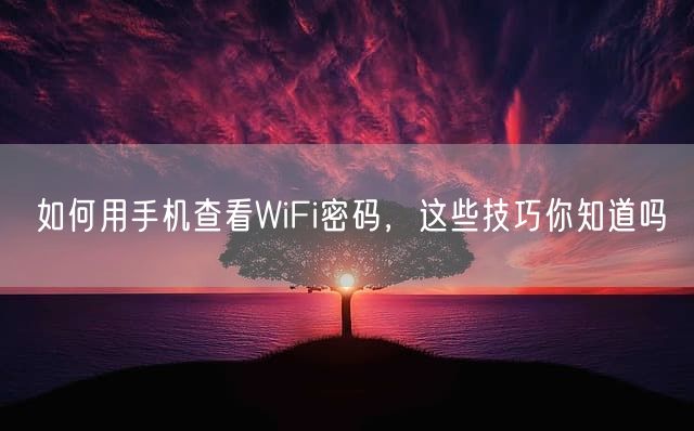 如何用手机查看WiFi密码，这些技巧你知道吗