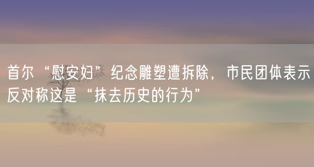 首尔“慰安妇”纪念雕塑遭拆除，市民团体表示反对称这是“抹去历史的行为”