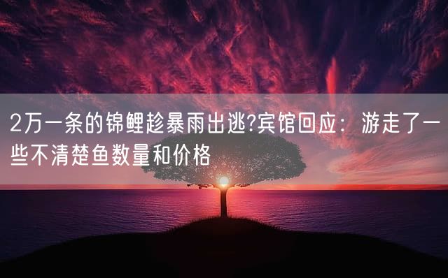 2万一条的锦鲤趁暴雨出逃?宾馆回应：游走了一些不清楚鱼数量和价格